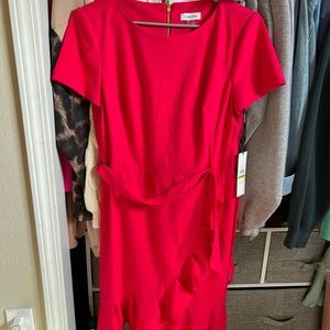 Calvin Klein Hot Pink Ruffle Dress